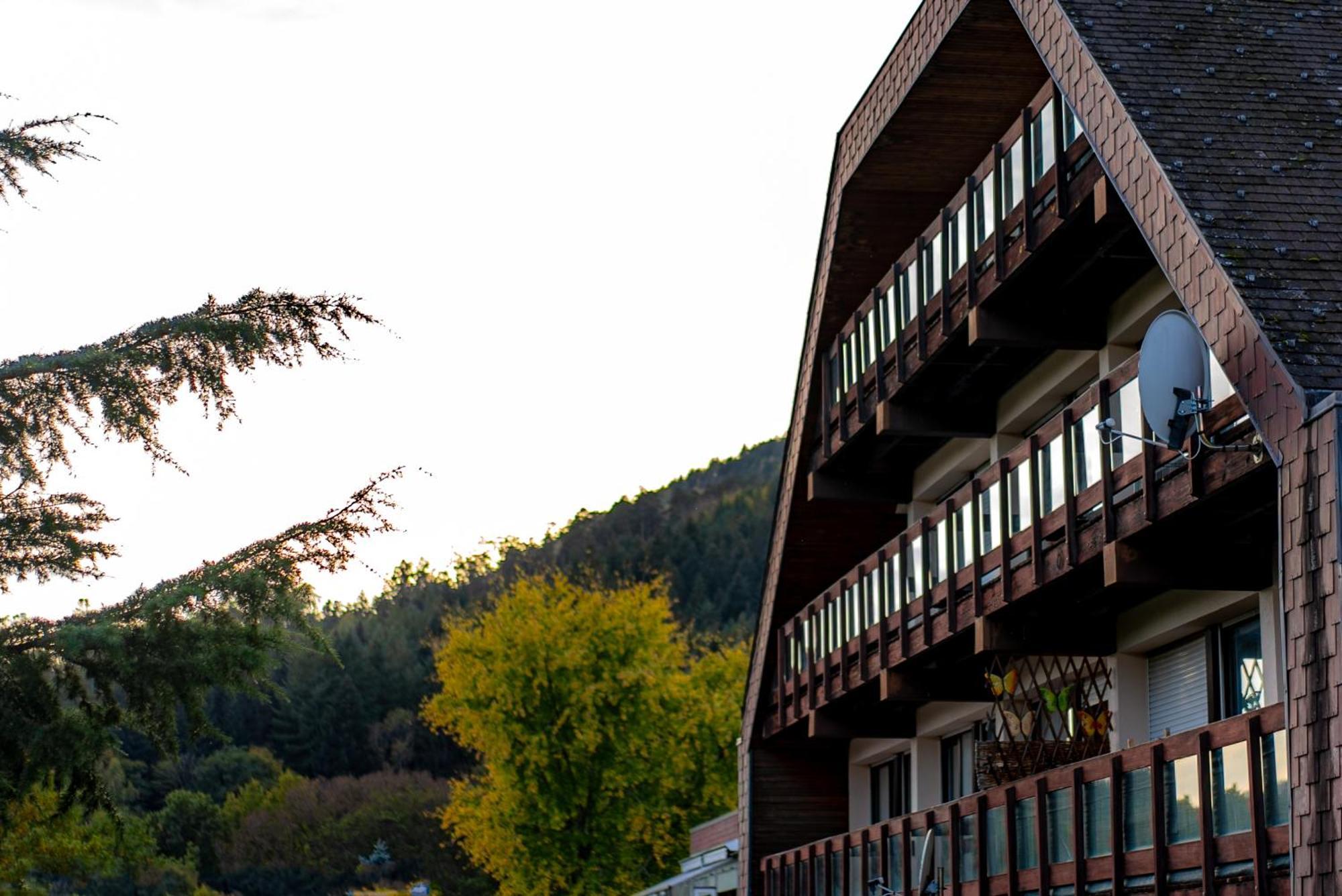 Village Vacances Cap France La Bolle Saint-Die-des-Vosges Exterior photo